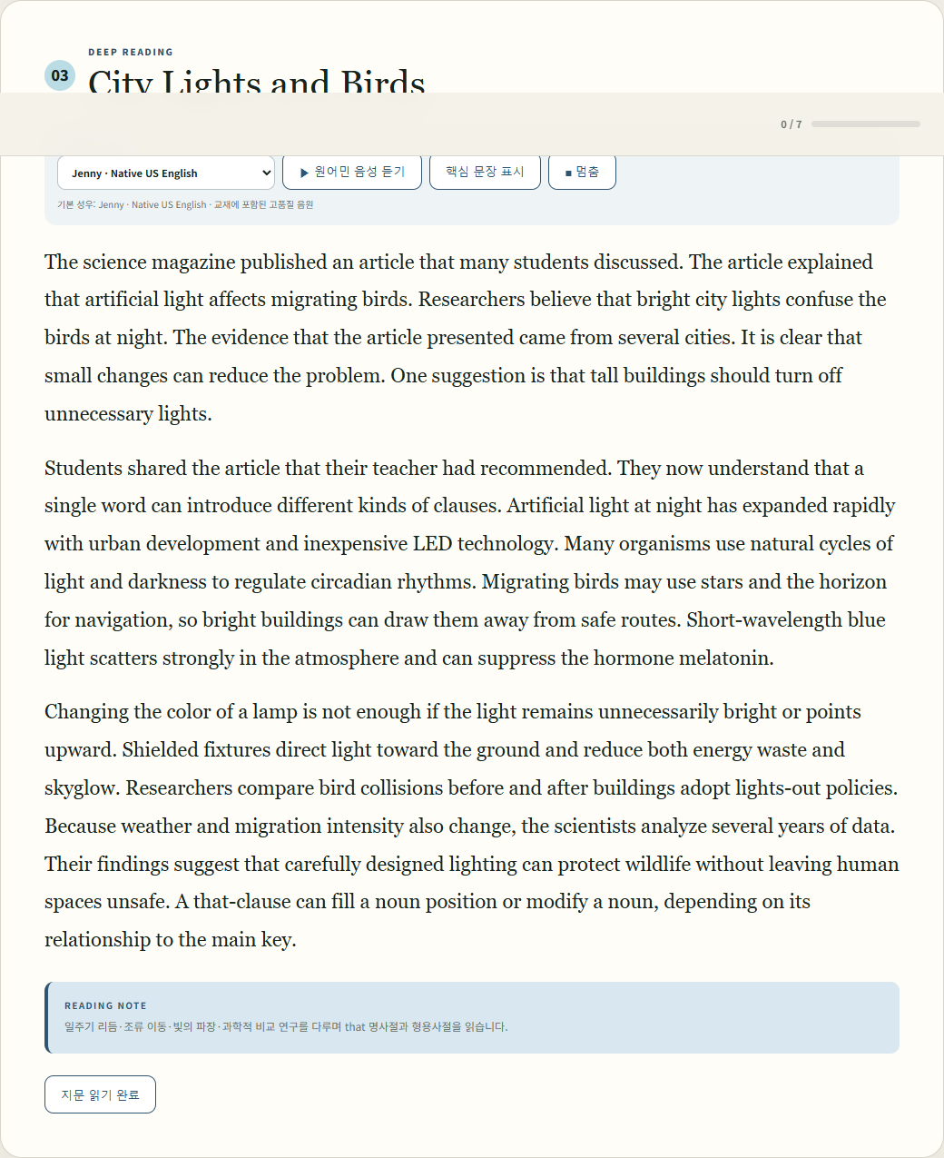 T3 Reading U15 — City Lights and Birds